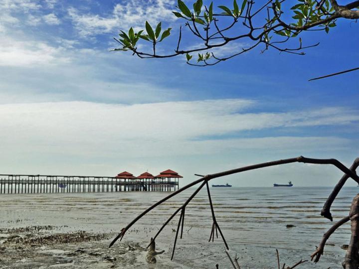 Pulai Spring Resort Kampung Kangkar Pulai Exteriér fotografie